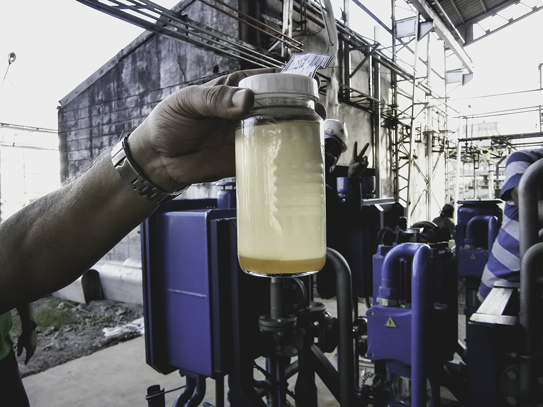 production of biodiesel