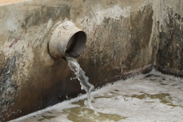 Purificación de aguas residuales de fenol